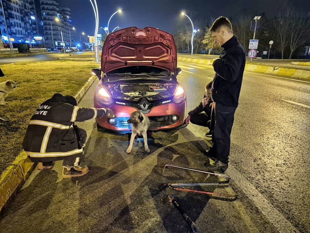 Arabanın çarptığı köpek tampona böyle sıkıştı! İlginç anlar kamerada 1